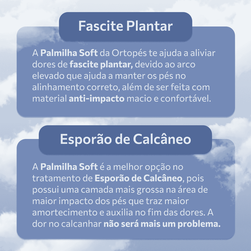 LEVE 2 PAGUE 1 - Palmilha OrtoSoft Ortopédica